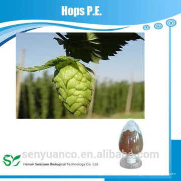 Hopfen PE